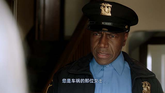 我无法忘记的面孔-HD1080P-MP4-中文字幕