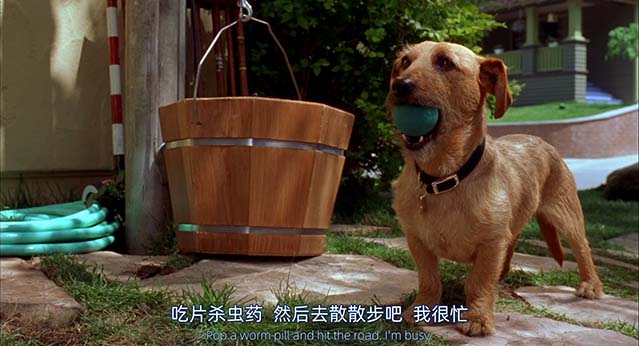 加菲猫-BD1080P-MP4-中文字幕