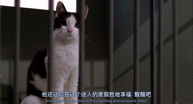 加菲猫-BD1080P-MP4-中文字幕