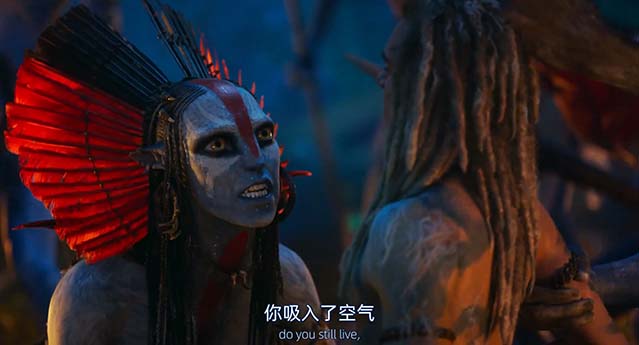 阿凡达：火与烬-HD1080P/2160P-MP4-中文字幕