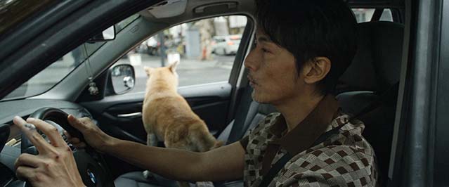 比如父子-HD1080P/2160P-MP4-中文字幕