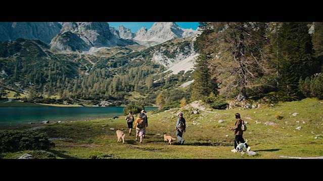 汪星人训练-HD1080P-MP4-中文字幕