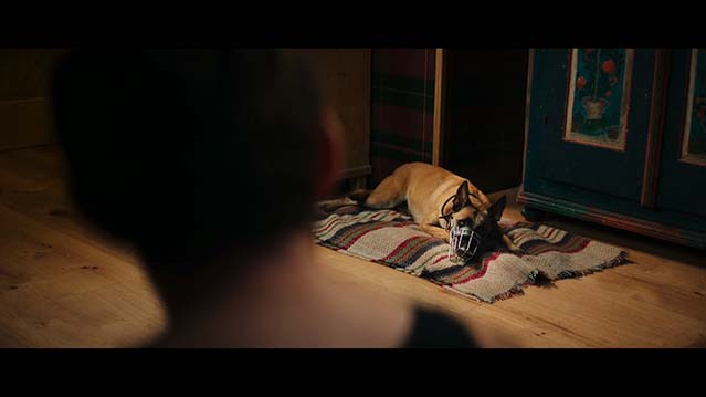 汪星人训练-HD1080P-MP4-中文字幕