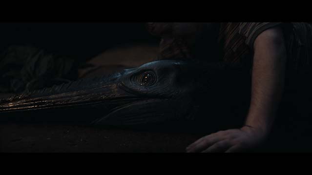 环形轨道-BD1080P-MP4-中文字幕