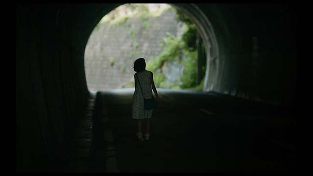 雷诺阿-HD1080P-MP4-中文字幕