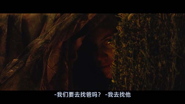 冷光中-HD1080P-MP4-中文字幕