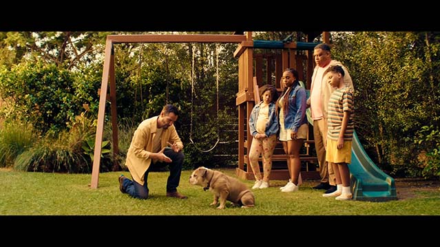 星途恶果-HD1080P-MP4-中文字幕