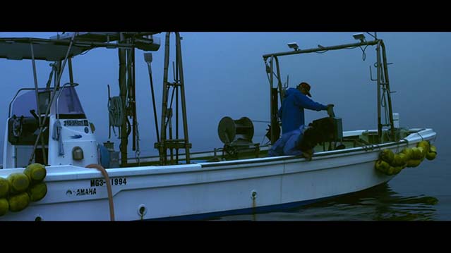 待风平浪静-HD1080P-MP4-中文字幕