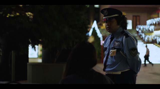 照片中的女人-HD1080P-MP4-中文字幕