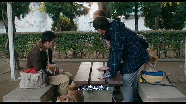 柴犬公园-HD1080P-MP4-中文字幕