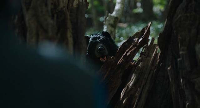 日落日出-BD1080P-MP4-中文字幕