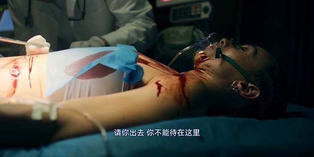 复仇双雄-HD1080P-MP4-中文字幕