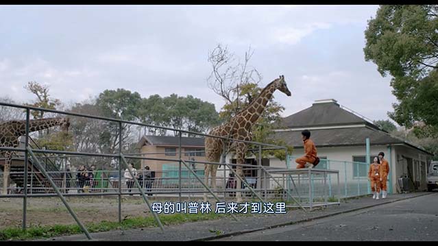 生命速写-HD1080P-MP4-中文字幕