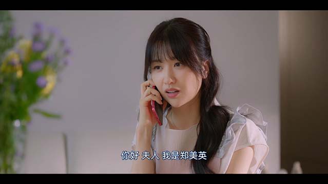 隐秘的监察-1080P全集中文字幕-BT迅雷下载