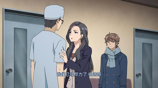 青春猪头少年不会梦到怀梦美少女-BD1080P-MP4-中文字幕