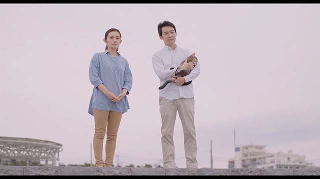 海岸大街上的猫咪侦探-HD1080P-MP4-中文字幕