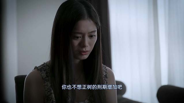 灰色之壁-HD1080P-MP4-中文字幕