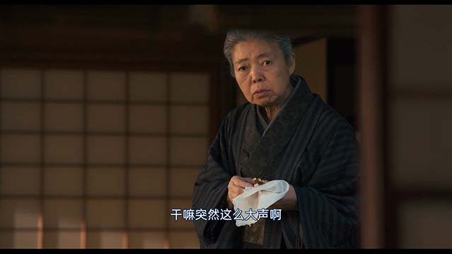 记我的母亲-HD1080P-MP4-中文字幕