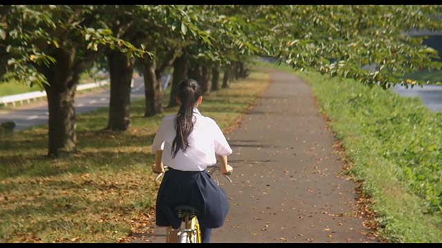 能不能原谅你，我想想看-HD1080P-MP4-中文字幕