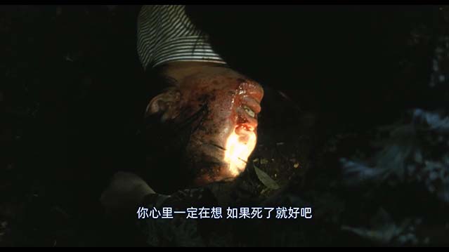 那夜的武士-HD1080P-MP4-中文字幕