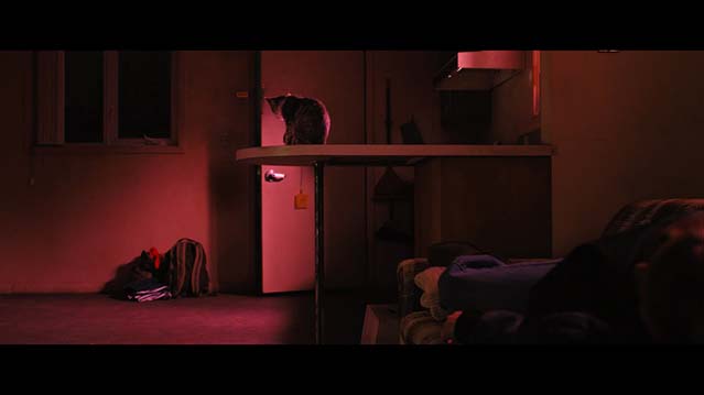 你留下的痕迹-BD1080P-MP4-中文字幕