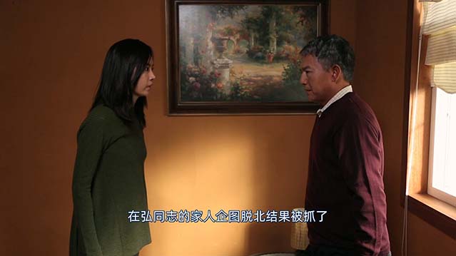 红色家族-BD1080P-MP4-中文字幕